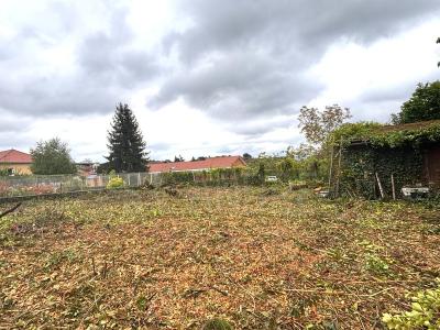 For sale Arzay LA-CATE-SAINT-ANDRA 460 m2 Isere (38260) photo 2