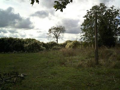 For sale Chabournay SAINT-MARTIN-LA-PALLU 570 m2 Vienne (86380) photo 1