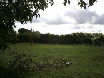 For sale Chabournay SAINT-MARTIN-LA-PALLU 570 m2 Vienne (86380) photo 3