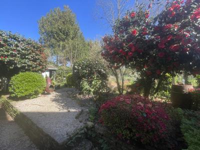 Annonce Vente 7 pices Maison Rosporden 29