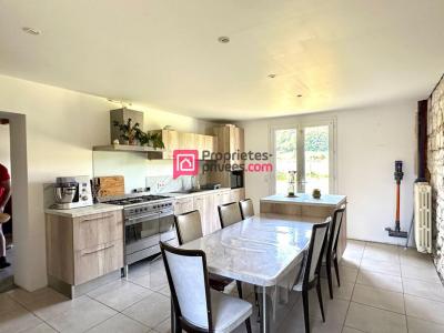 Acheter Maison 275 m2 Chinon