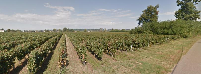 For sale Saint-magne-de-castillon 8 rooms 313 m2 Gironde (33350) photo 4