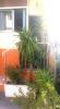 For rent Apartment Vallauris 18 m2