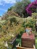 For rent Apartment Vence 40 m2