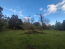 For sale Land Quenza 3000 m2