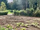 For sale Land Ancenis 750 m2
