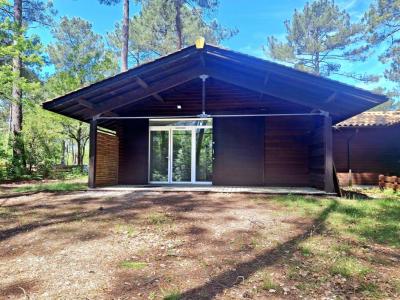 Annonce Vente 3 pices Maison Lacanau 33