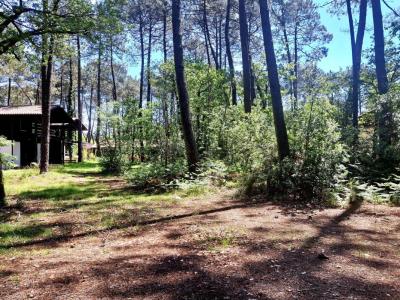 Acheter Maison 50 m2 Lacanau