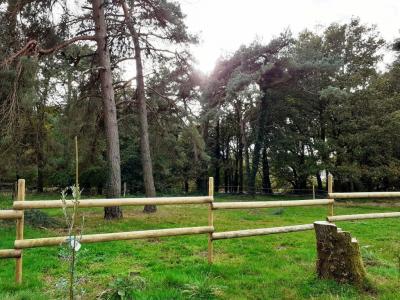 For sale Malguenac 1 m2 Morbihan (56300) photo 3