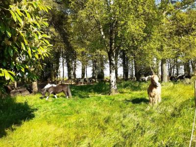 For sale Malguenac 1 m2 Morbihan (56300) photo 4