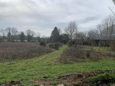 For sale Pluvigner 1 room 50 m2 Morbihan (56330) photo 1