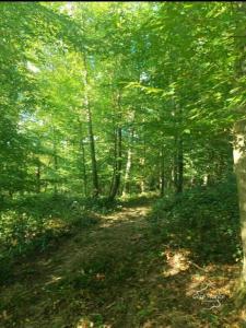 Annonce Vente Terrain Marle 02