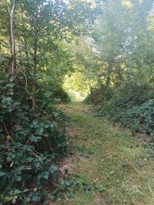Acheter Terrain 6620 m2 Marle