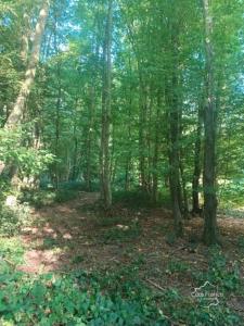 Acheter Terrain Marle Aisne