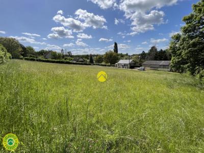 For sale Chateauneuf-sur-cher 3065 m2 Cher (18190) photo 3