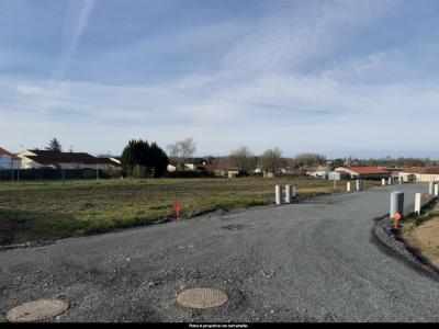 Annonce Vente Maison Palluau 85