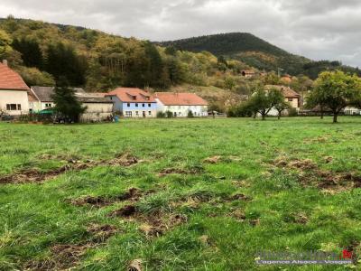 For sale Rombach-le-franc 1488 m2 Haut rhin (68660) photo 0