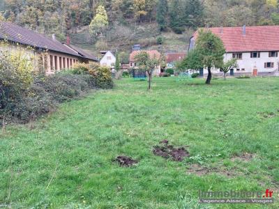 For sale Rombach-le-franc 1096 m2 Haut rhin (68660) photo 0