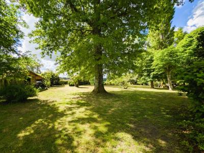 For sale CAMPAGNE 13 rooms 225 m2 Landes (40230) photo 2