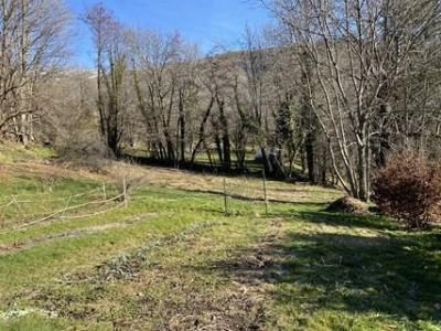 For sale VALLEE DU VICDESSOS Ariege (09220) photo 1