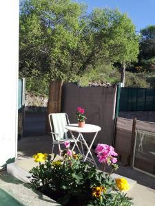 Annonce Vente 3 pices Maison  34