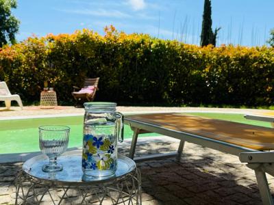 For sale Sollies-ville 10 rooms 343 m2 Var (83210) photo 2