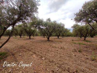 Annonce Vente Terrain Pezenas 34