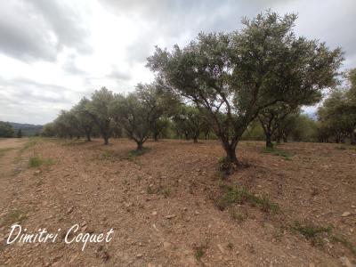 Acheter Terrain 7000 m2 Pezenas