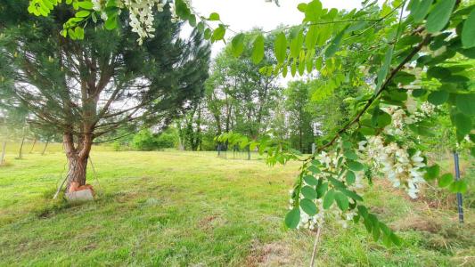 For sale Pontonx-sur-l'adour 2390 m2 Landes (40465) photo 2