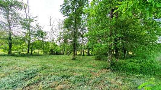 For sale Pontonx-sur-l'adour 2390 m2 Landes (40465) photo 3