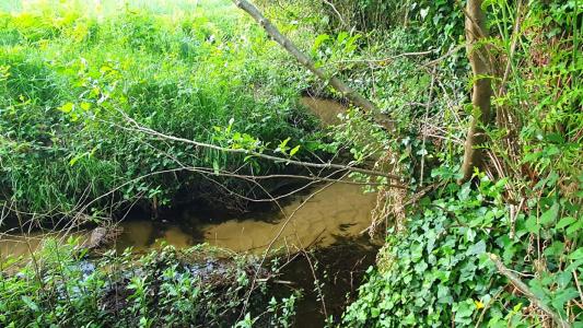 For sale Pontonx-sur-l'adour 2390 m2 Landes (40465) photo 4