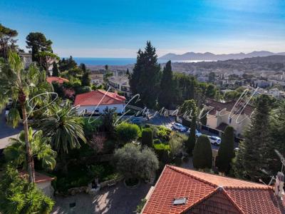 Annonce Vente Prestige Cannet 06