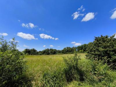 Annonce Vente Terrain Gron 18