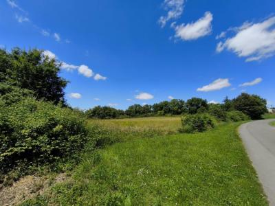 Acheter Terrain 6857 m2 Gron
