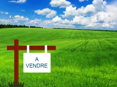 Annonce Vente Terrain Cherrueix 35