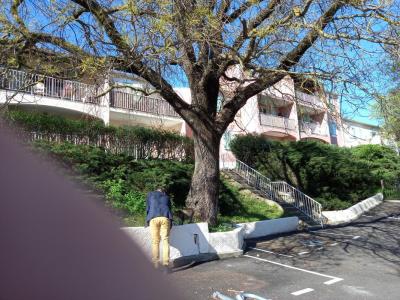 For rent Hyeres 1 room 39 m2 Var (83400) photo 2