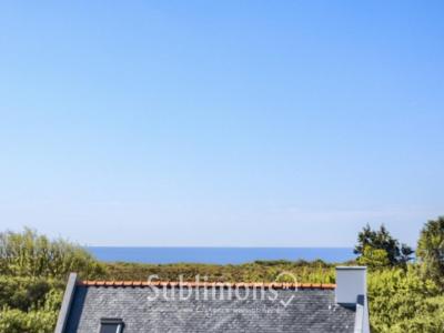 Annonce Vente 5 pices Maison Groix 56