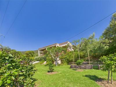For sale Alata 8 rooms 222 m2 Corse (20167) photo 2