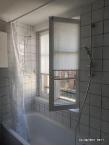 For rent Colmar 2 rooms 36 m2 Haut rhin (68000) photo 3