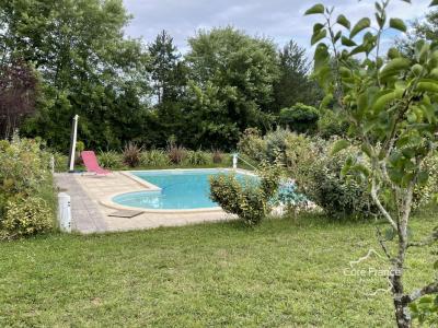 Acheter Prestige Salies-de-bearn Pyrenees atlantiques