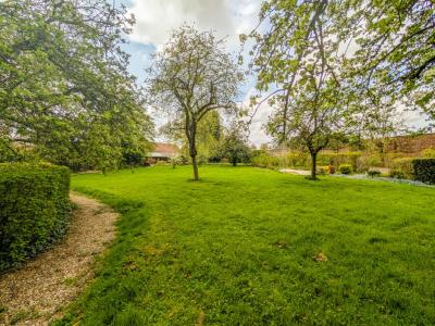 For sale Gouzeaucourt 13 rooms 325 m2 Nord (59231) photo 4
