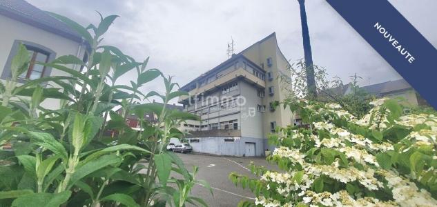Annonce Vente Appartement Altkirch 68