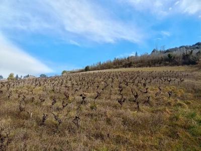 For sale Albi 8000 m2 Tarn (81000) photo 0