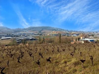 For sale Albi 8000 m2 Tarn (81000) photo 2