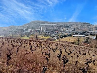 For sale Albi 8000 m2 Tarn (81000) photo 3