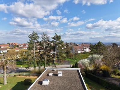 Acheter Maison Montbeliard Doubs
