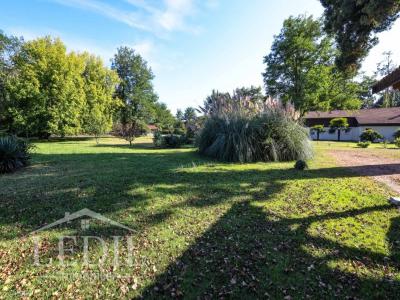 Acheter Prestige Mios Gironde