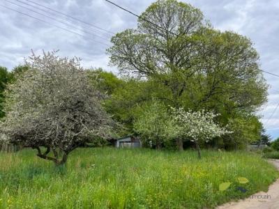 Annonce Vente Terrain Chamberet 19
