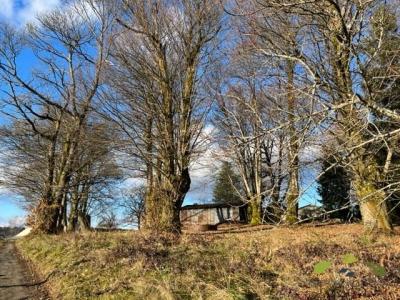Acheter Terrain Chamberet Correze