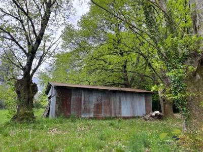 Acheter Terrain Chamberet 20500 euros